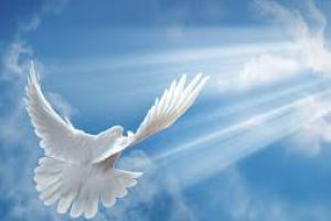 Avisos Personales  Gracias espiritu santo